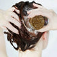 Hair Darkening Shampoo Bar Bundle